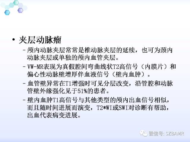 【PPT】2017ASN颅内血管壁MRI：原则及专家共识