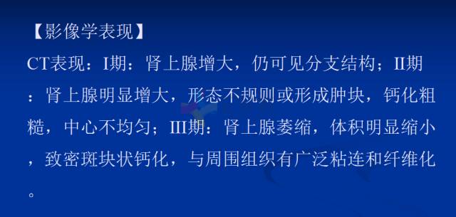 【PPT】肾上腺疾病影像诊断