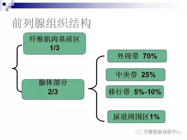 【PPT】前列腺癌的MRI诊断