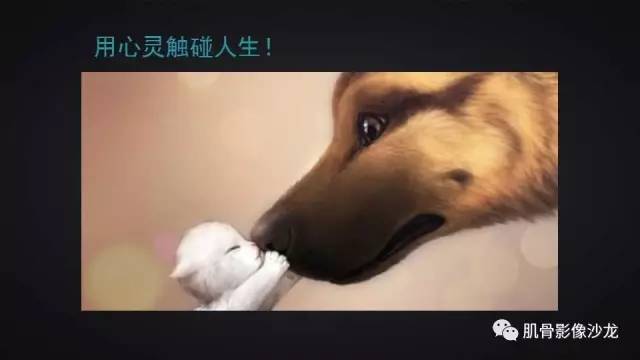 【PPT】膝关节解剖和半月板损伤影像解读
