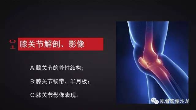 【PPT】膝关节解剖和半月板损伤影像解读