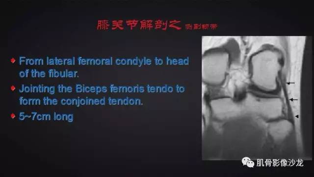 【PPT】膝关节解剖和半月板损伤影像解读