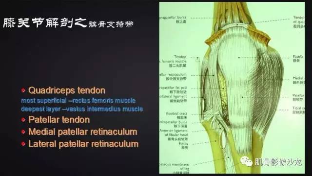 【PPT】膝关节解剖和半月板损伤影像解读