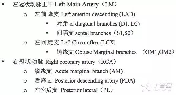 心脏解剖笔记:冠状动脉CT解剖及变异 心脏解剖笔记:冠状动脉CT解剖及变异