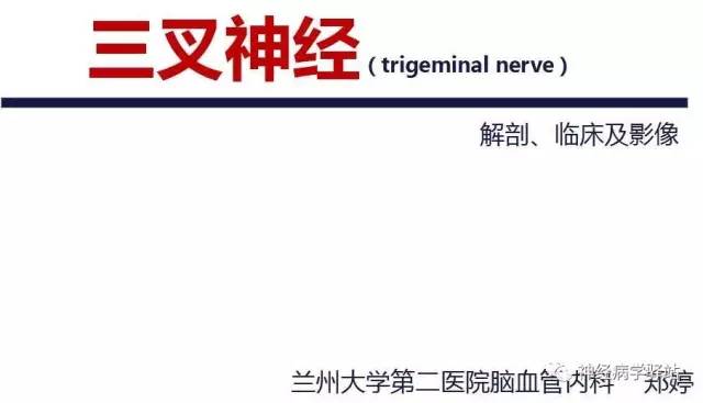 【PPT】三叉神经解剖、影像及临床