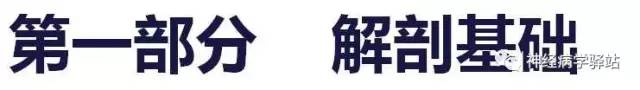 【PPT】三叉神经解剖、影像及临床