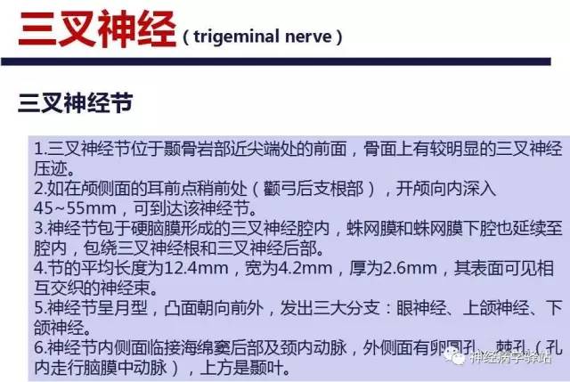 【PPT】三叉神经解剖、影像及临床