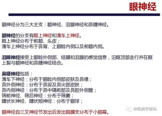 【PPT】三叉神经解剖、影像及临床