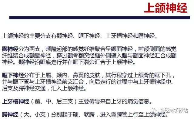 【PPT】三叉神经解剖、影像及临床