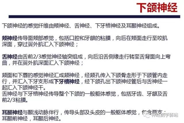 【PPT】三叉神经解剖、影像及临床
