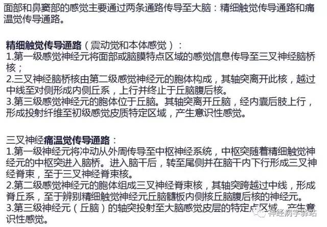 【PPT】三叉神经解剖、影像及临床