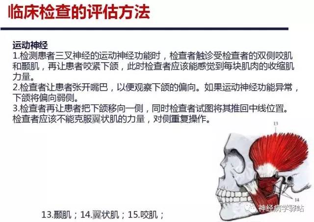【PPT】三叉神经解剖、影像及临床