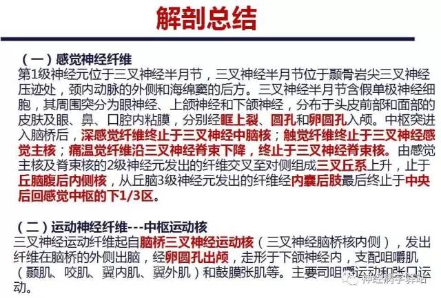 【PPT】三叉神经解剖、影像及临床