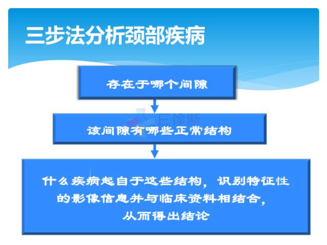 【病例】颈部间隙(舌骨下)解剖和病理