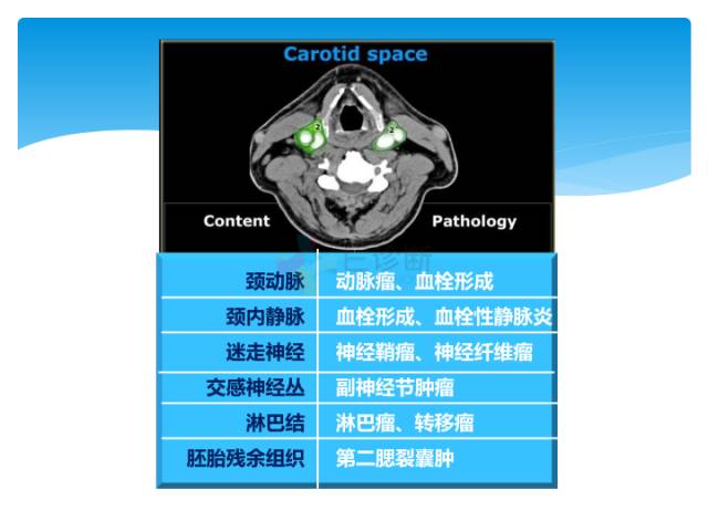 【病例】颈部间隙(舌骨下)解剖和病理