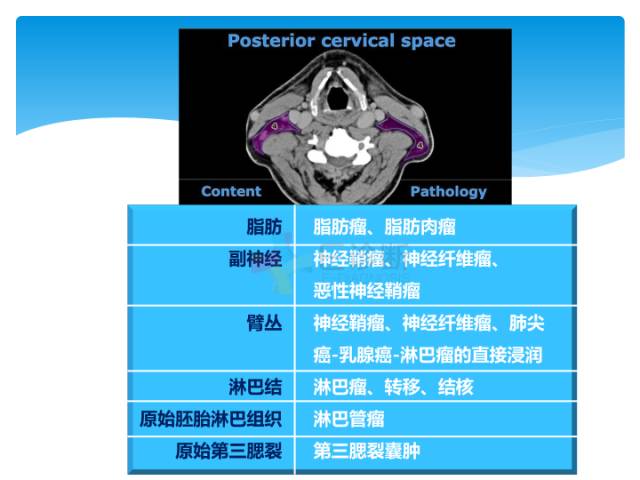 【病例】颈部间隙(舌骨下)解剖和病理