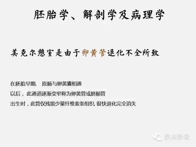 【病例】美克尔憩室(Meckels diverticulum) 一例影像诊断 【病例】美克尔憩室(Meckels diverticulum) 一例影像诊断