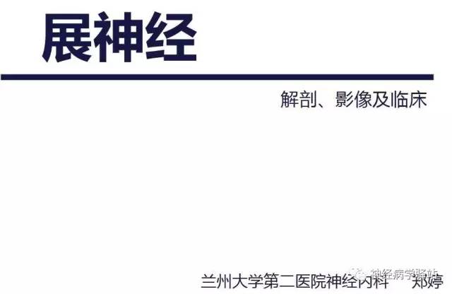 【PPT】展神经解剖、影像及临床