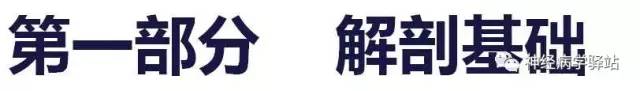 【PPT】展神经解剖、影像及临床