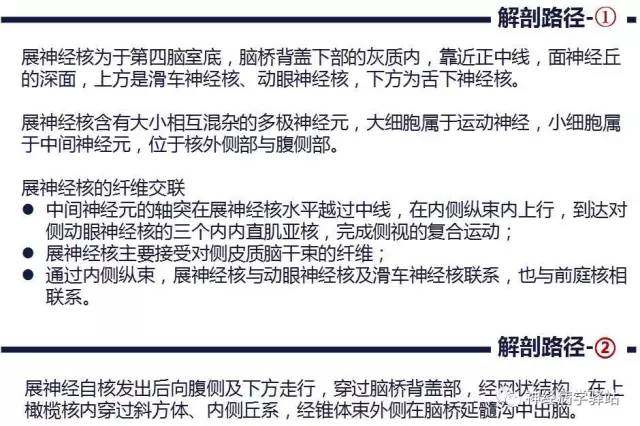 【PPT】展神经解剖、影像及临床