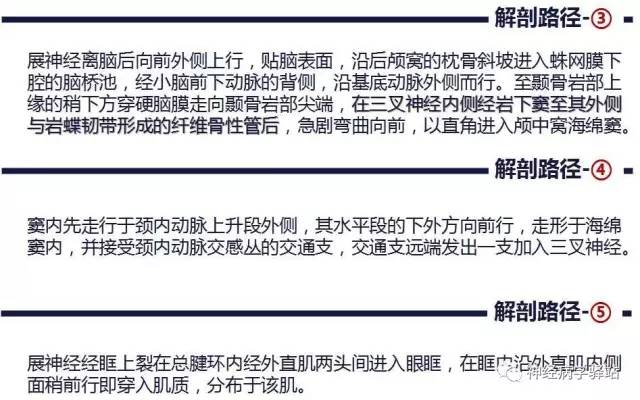 【PPT】展神经解剖、影像及临床