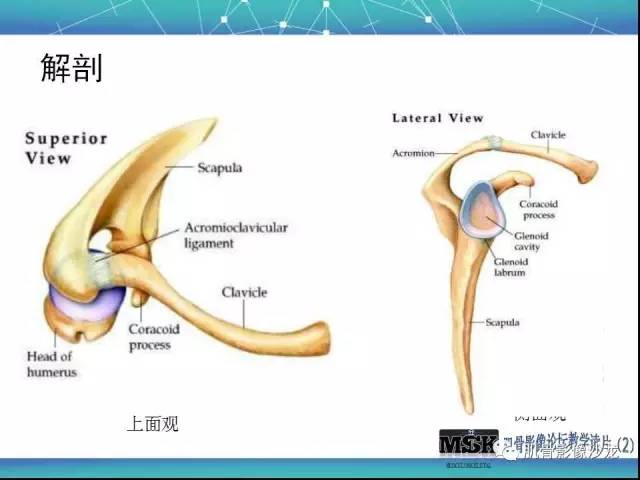 【PPT】肩关节损伤（骨折篇）