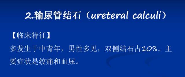 【PPT】泌尿系疾病的影像诊断