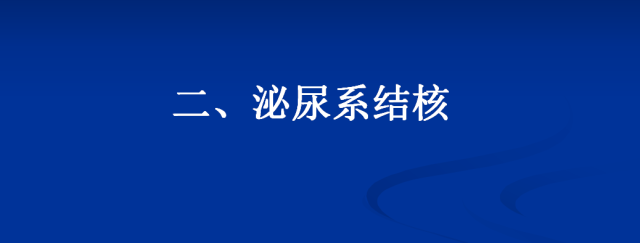 【PPT】泌尿系疾病的影像诊断