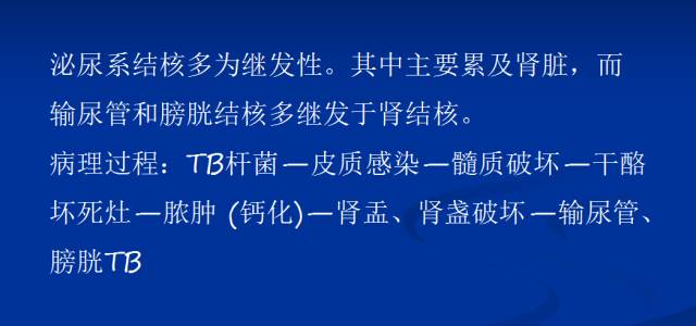 【PPT】泌尿系疾病的影像诊断