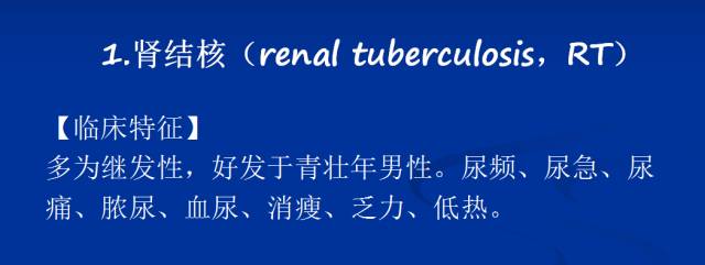 【PPT】泌尿系疾病的影像诊断