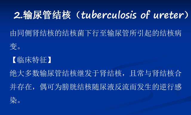 【PPT】泌尿系疾病的影像诊断