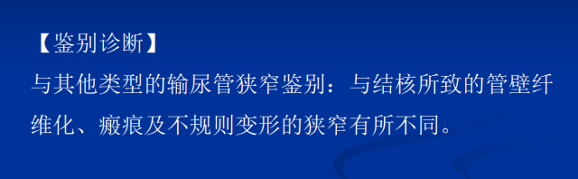 【PPT】泌尿系疾病的影像诊断