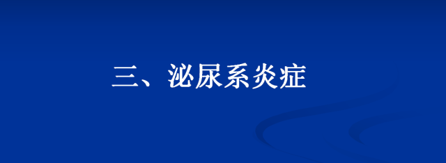 【PPT】泌尿系疾病的影像诊断