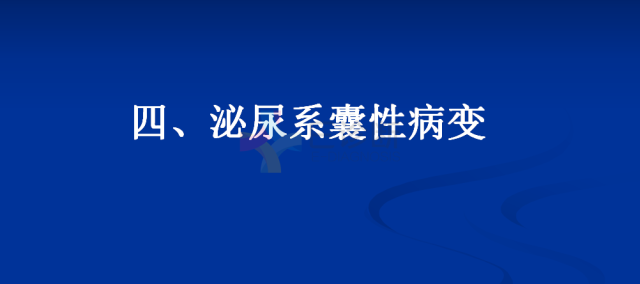 【PPT】泌尿系疾病的影像诊断