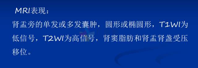 【PPT】泌尿系疾病的影像诊断