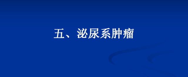 【PPT】泌尿系疾病的影像诊断