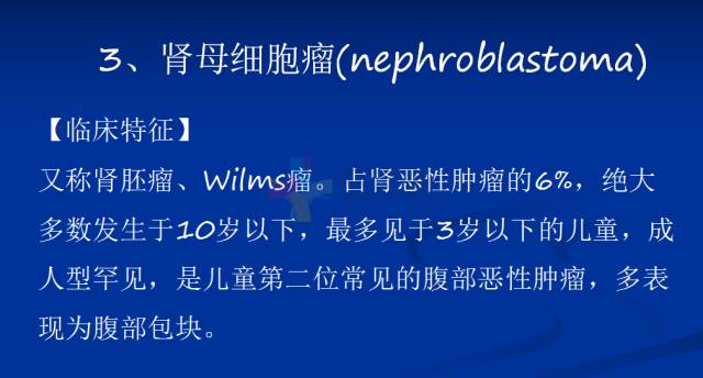【PPT】泌尿系疾病的影像诊断