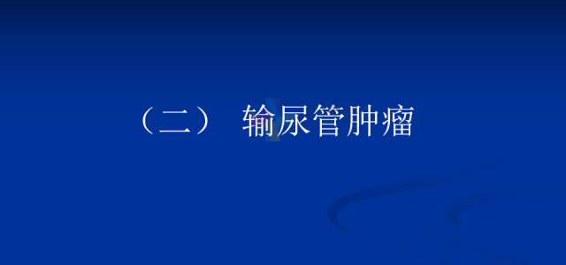 【PPT】泌尿系疾病的影像诊断