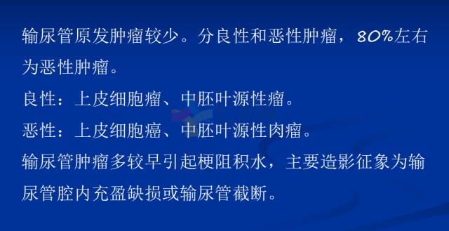 【PPT】泌尿系疾病的影像诊断
