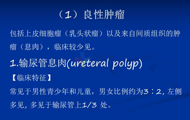 【PPT】泌尿系疾病的影像诊断