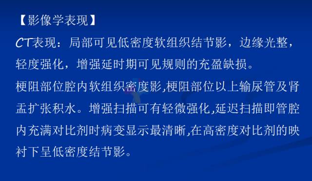 【PPT】泌尿系疾病的影像诊断