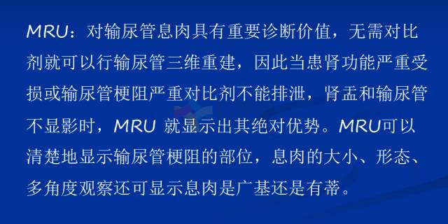 【PPT】泌尿系疾病的影像诊断