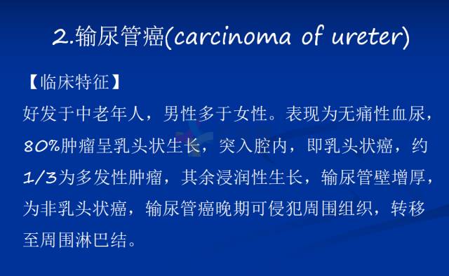 【PPT】泌尿系疾病的影像诊断