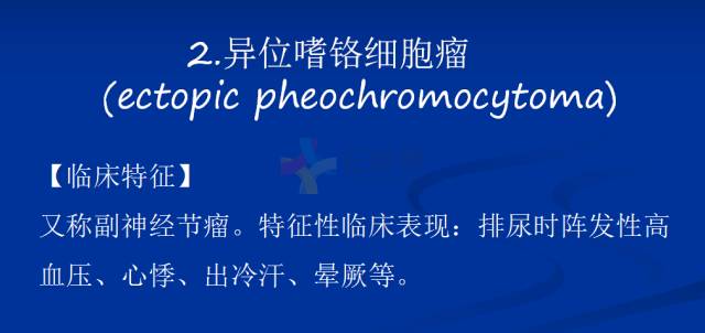 【PPT】泌尿系疾病的影像诊断