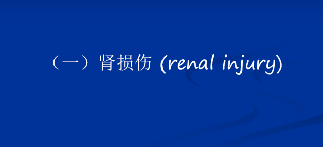 【PPT】泌尿系疾病的影像诊断