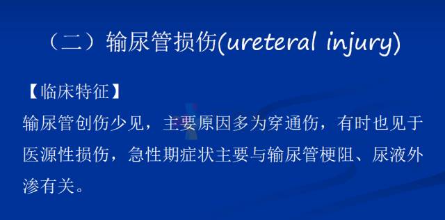 【PPT】泌尿系疾病的影像诊断