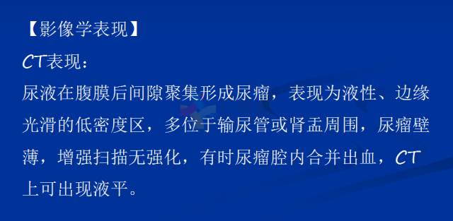 【PPT】泌尿系疾病的影像诊断