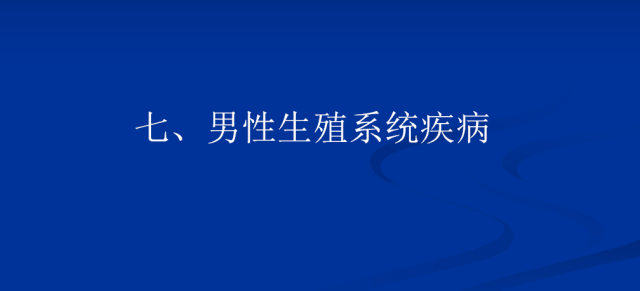 【PPT】泌尿系疾病的影像诊断