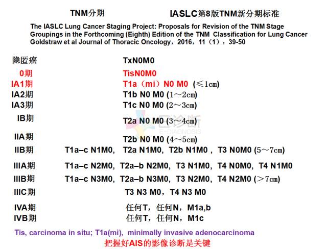 【PPT】微小肺癌的CT形态学分型