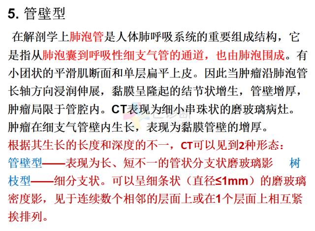 【PPT】微小肺癌的CT形态学分型